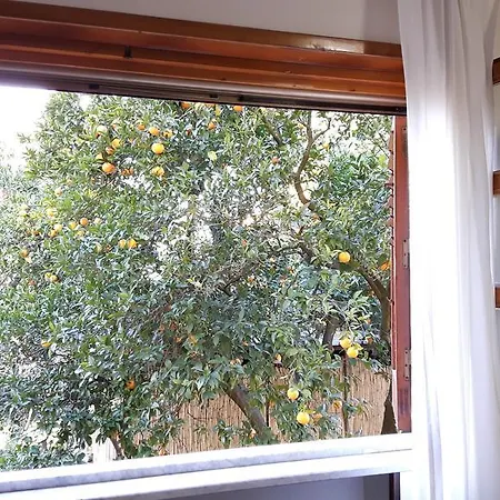 La Gaggia Bed and Breakfast Πιάνο ντι Σορέντο