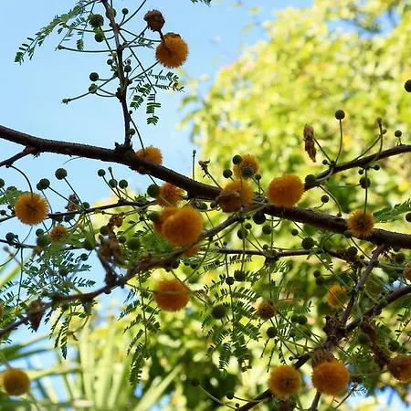 Bed and Breakfast La Gaggia